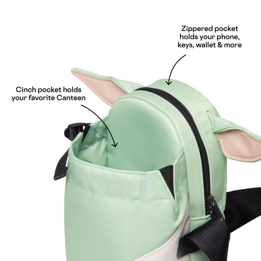 disney-sling-c0 53593b3e49e2--Sling-PDP-4.png
