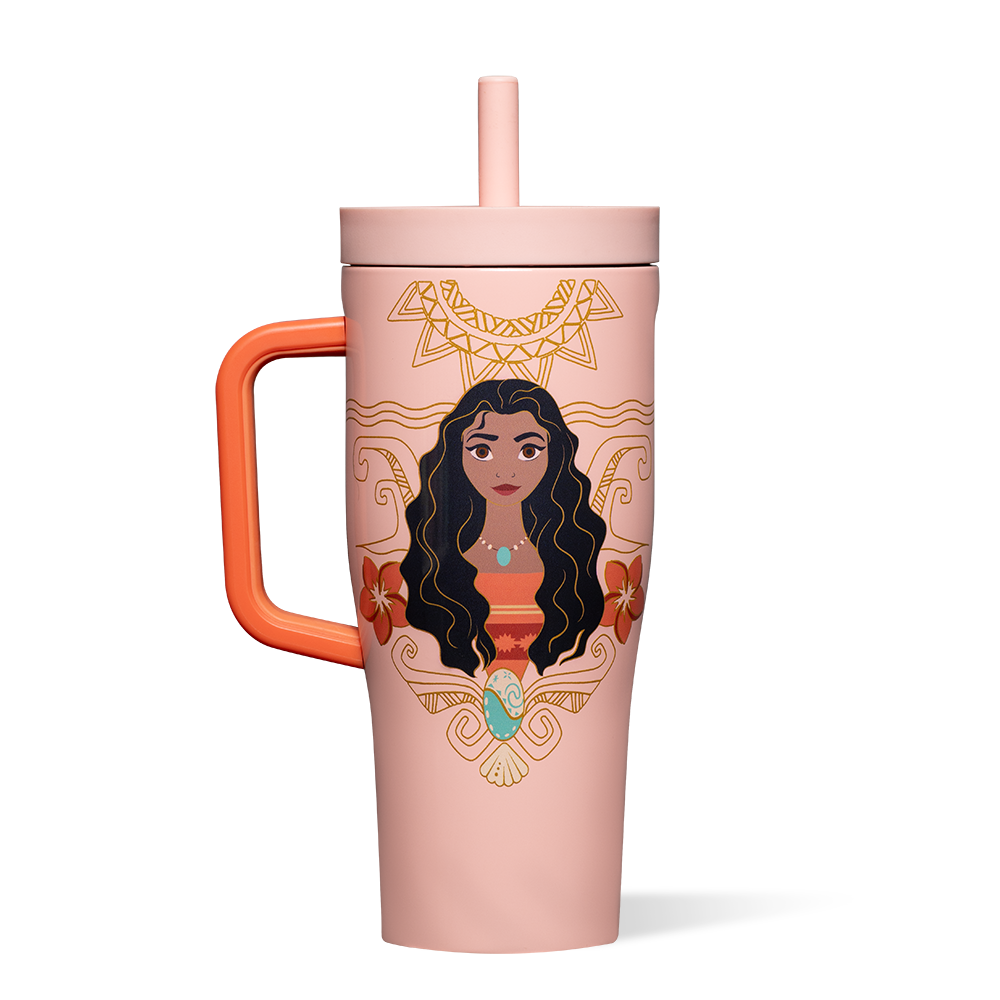 disney-princess-leakproof-cruiser-a6 DIS2222DP-M-01.png