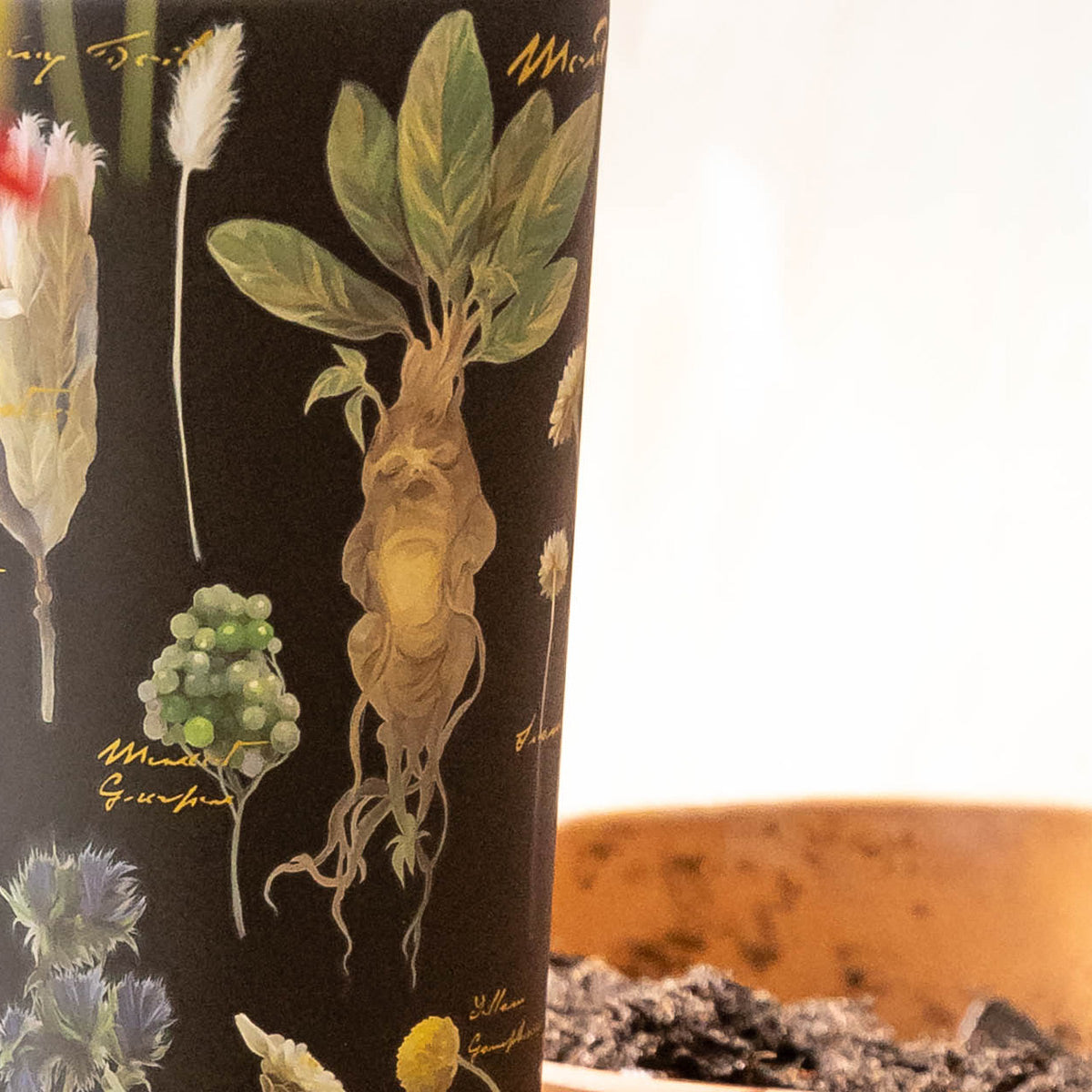 harry-potter-cold-cup-b2 Herbology-3.jpg